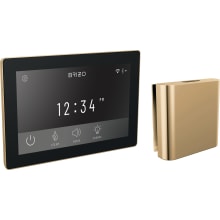 Mystix Digital Steam Control Unit and Square Steam Head