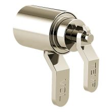 Litze Handle Kit for Thermostatic Valve Trim with Integrated Volume Control - Industrial Lever Handle
