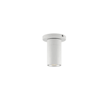 GX15 5" Wide LED Flush Mount Cylinder Ceiling Fixture