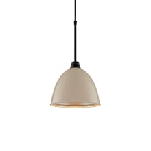 Classic 10" Wide LED Mini Pendant with Black Canopy and Ivory Aluminum Shade
