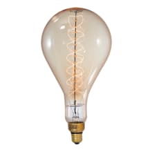Single 60 Watt Vintage Edison Dimmable PS56 Medium (E26) Incandescent Bulb - 160 Lumens and 2200K