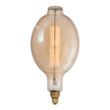 Single 60 Watt Vintage Edison Dimmable BT56 Medium (E26) Incandescent Bulb - 120 Lumens and 2200K
