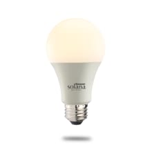 Single 8 Watt Dimmable A19 Medium (E26) LED Bulb - 800 Lumens, 2200K, and 80CRI