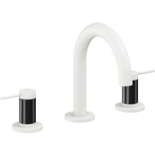 D Street 1.2 GPM Widespread Bathroom Faucet with 1-1/4" Completely Finished ZeroDrain and Lever Handles