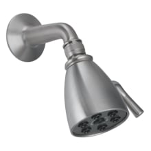 2.5 GPM Shower Head with Shower Arm and Flange