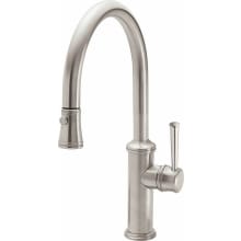 Davoli 1.8 GPM Single Hole Pull Down Kitchen Faucet with 48 Series Handle and Low Arc Spout