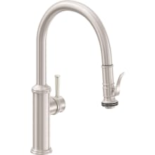 Davoli 1.8 GPM Single Hole Pre-Rinse Pull Down Kitchen Faucet - Includes Escutcheon