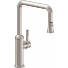 Davoli 1.8 GPM Single Hole Pull Down Kitchen Faucet with 33 Series Handle