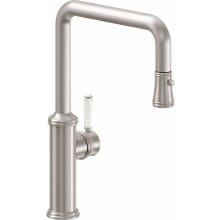 Davoli 1.8 GPM Single Hole Pull Down Kitchen Faucet with 35 Series Handle