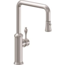 Davoli 1.8 GPM Single Hole Pull Down Kitchen Faucet with 61 Series Handle
