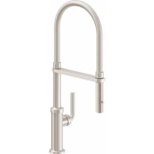 Descanso 1.8 GPM Single Hole Pre-Rinse Pull Down Kitchen Faucet with SL Series Handle