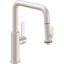 Corsano 1.8 GPM Single Hole Pre-Rinse Pull Down Kitchen Faucet - Includes Escutcheon