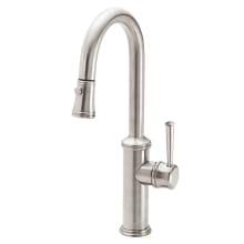 Davoli 1.8 GPM Single Hole Pull Down Bar Faucet with 48 Series Handle