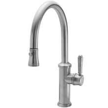 Davoli 1.8 GPM Single Hole Pull Down Kitchen Faucet with 61 Series Handle and Low Arc Spout