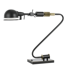Single Light 21" High Desk Lamp