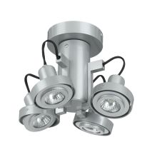 Four Light Ceiling Mount Light