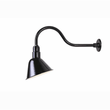 Single Light 10" High Outdoor Wall Sconce