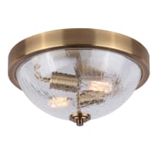 Everly 2 Light 13" Wide Flush Mount Bowl Ceiling Fixture