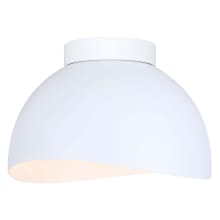 Henlee 11" Wide Flush Mount Ceiling Fixture