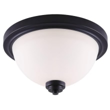 Portia 2 Light 13" Wide Flush Mount Bowl Ceiling Fixture