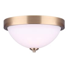 River 2 Light 13" Wide Flush Mount Bowl Ceiling Fixture