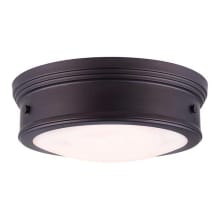 Boku 2 Light 13" Wide Flush Mount Ceiling Fixture