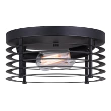 Alder 2 Light 13" Wide Flush Mount Drum Ceiling Fixture