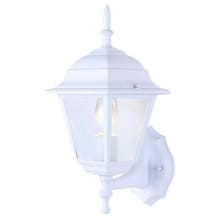 Single Light 14-1/2" High Outdoor Wall Sconce