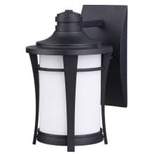 Maya Single Light 10-3/4" High Outdoor Wall Sconce