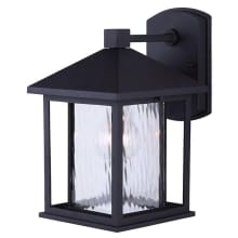 Elgin Single Light 11" High Outdoor Wall Sconce