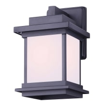 Akello 10" Tall Outdoor Wall Sconce