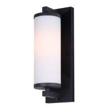 Seager 15" Tall Wall Sconce