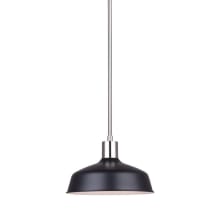 Bello 11" Wide Pendant