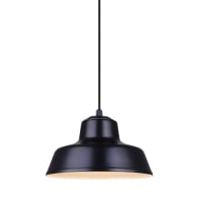 Levi 15" Wide Pendant