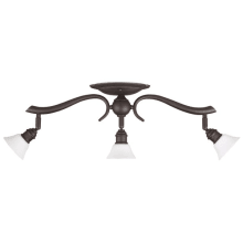 Addison 3 Light 24" Wide Fixed Rail - Ceiling or Wall Mount