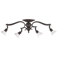 Addison 4 Light 27" Wide Fixed Rail - Ceiling or Wall Mount