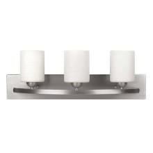 Hampton 3 Light 24" Wide Bathroom Vanity Light