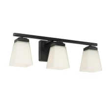 Baxley 3 Light 22" Wide Bathroom Vanity Light