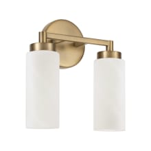 Alyssa 2 Light 11" Wide Vanity Light with Faux Alabaster Glass Shades