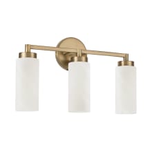 Alyssa 3 Light 19" Wide Vanity Light with Faux Alabaster Glass Shades