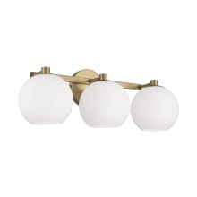 Ansley 3 Light 23" Wide Vanity Light with Soft White Glass Shades