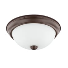 2 Light 11" Wide Flush Mount Bowl Ceiling Fixture with Frosted Glass Shade