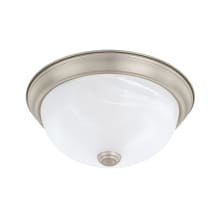 2 Light 11" Wide Flush Mount Bowl Ceiling Fixture