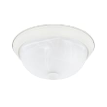 2 Light 4-1/2" Tall Flush Mount Bowl Ceiling Fixture