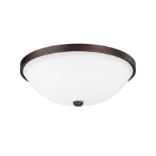 2 Light 12-1/2" Wide Fluh Mount Bowl Ceiling Fixture