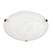 2 Light 12" Wide Flush Mount Bowl Ceiling Fixture with Frosted Glass Shade