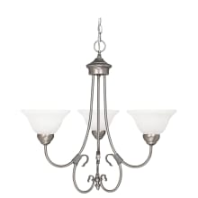 Hometown 3 Light 24" Wide Chandelier