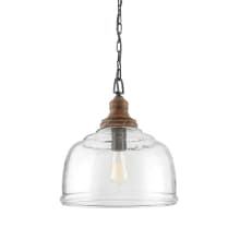Single Light 14" Wide Pendant with Clear Glass Shade