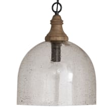 15" Wide Pendant with Clear Seedy Glass Shade