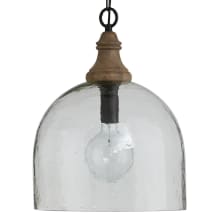 15" Wide Pendant with Clear Glass Shade